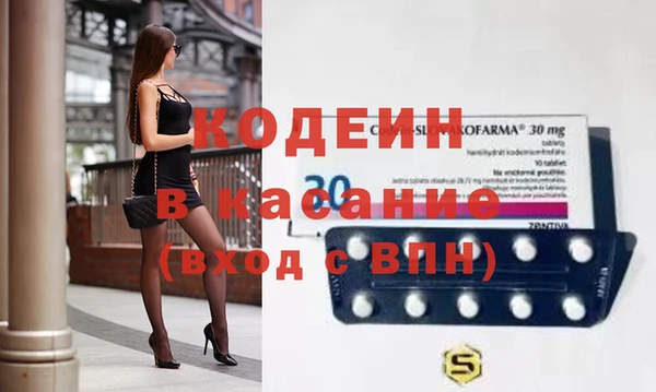 гашик Алзамай