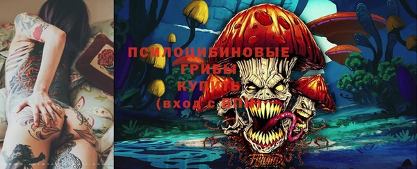 синтетический гашиш Горнозаводск