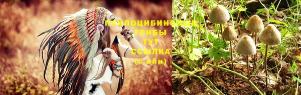 героин Горняк