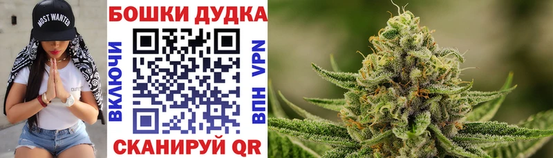 Марихуана планчик Мичуринск