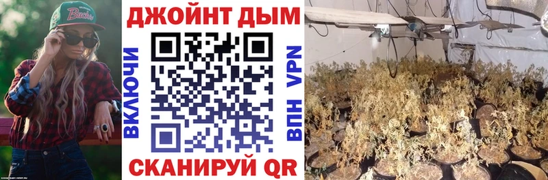 где купить наркоту  Мичуринск  Конопля White Widow 